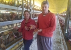 Família Baisch investe na produção de ovos e quer chegar a três mil dúzias/dia
