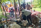 Focos de escorpião amarelo são encontrados no município