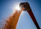 Sindicatos consideram rebate insuficiente  para atender agricultores