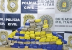 Apreensão de drogas no  primeiro semestre já  ultrapassa todo ano de 2023