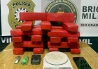 Volume de entorpecentes apreendidos triplica na microrregião em 2025