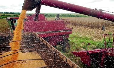 PIB agropecuário deve crescer 2,5% em 2020, estima IPEA