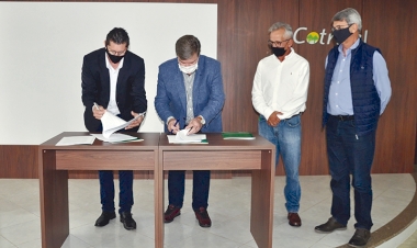 Cotrimaio e Cotrisal iniciam processo de transição