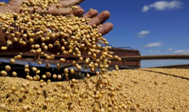 Os contratos futuros de soja a preço fixo