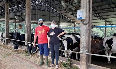 Prêmio Fidelidade é distribuído entre 778 produtores que entregaram ininterruptamente a produção de leite à Cotrisal/CCGL  durante o ano de 2020