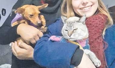 ANJOS DO BEM: Em dois anos, mais de 440 animais resgatados e  encaminhados para adoção
