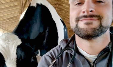 Alerta para casos de raiva herbívora  em bovinos na região