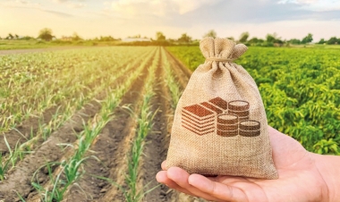 Produtores rurais precisam ficar atentos aos prazos do e-Social