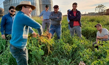 A busca por qualidade do solo e  altas produtividades