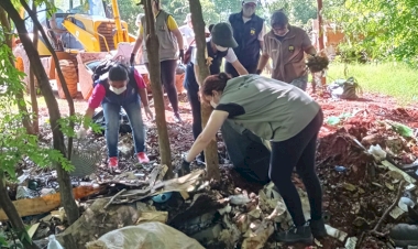 Focos de escorpião amarelo são encontrados no município