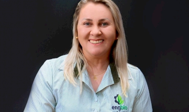 Dengue : É necessário intensificar as medidas de vigilância