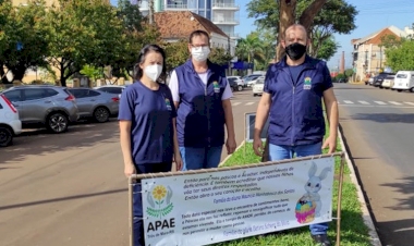Depoimentos de famílias de alunos enfeitam canteiro central adotado pela Apae de Três de Maio