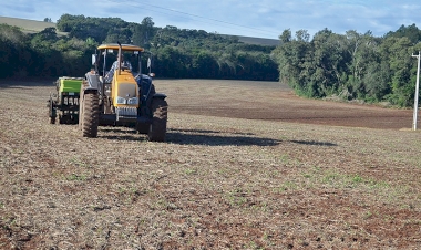 Área de trigo deve crescer cerca de 15% em Três de Maio
