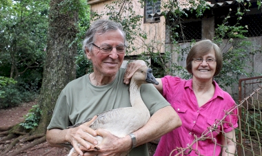 Morre o professor Armin Nied