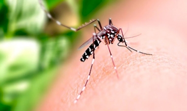 Município tem 18 casos  de dengue confirmados