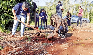 Alunos do município fazem plantio de  árvores nativas no bairro São Francisco