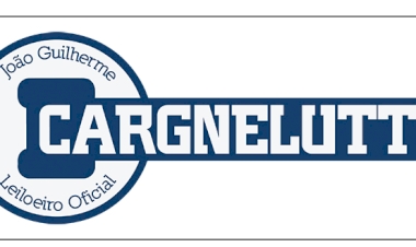 EDITAL DE LEILÃO E INTIMAÇÃO - ON-LINE -