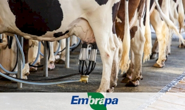 COTRISAL/CCGL repassam R$ 25 milhões em valor adicionado de ICMS para municípios da região