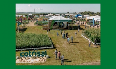 Agrotec Cotrisal transforma  conhecimento em resultados no campo