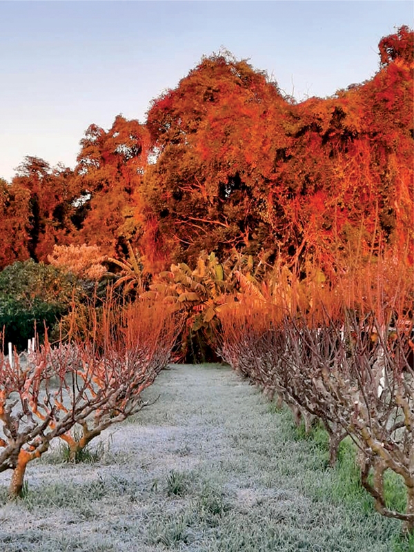 Semana com granizo, geada e muito frio