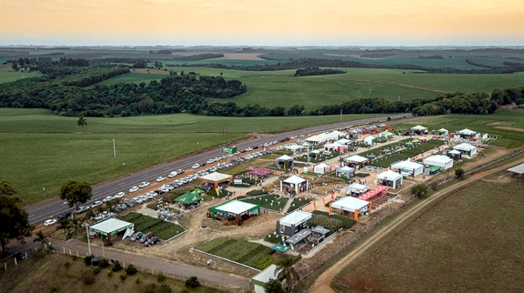 Dia de Campo Cotrisal movimentou produtores da região