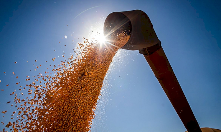 Sindicatos consideram rebate insuficiente  para atender agricultores