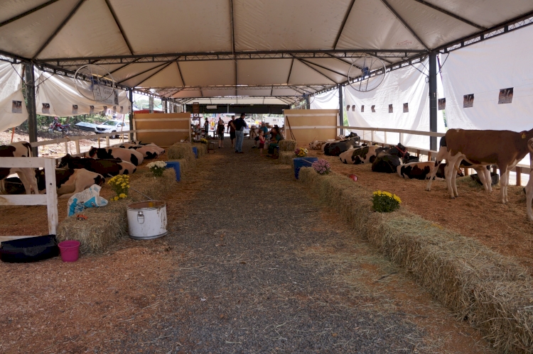 Estão abertas as inscrições para Exposição de Animais na FEICA 2023