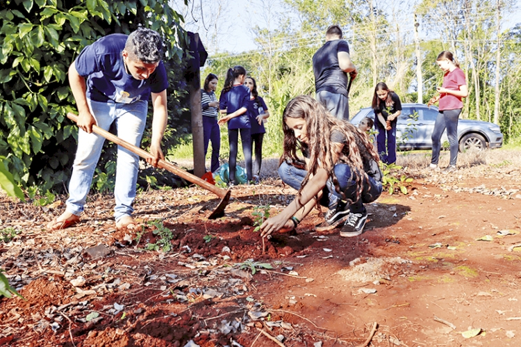 Alunos do município fazem plantio de  árvores nativas no bairro São Francisco