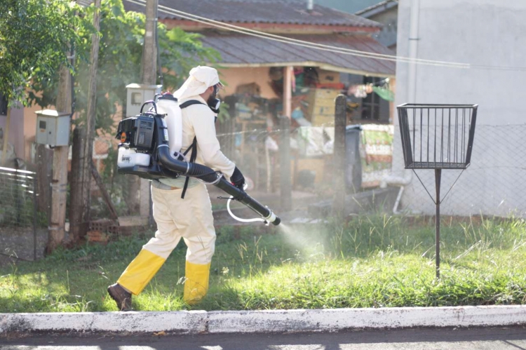 Três de Maio inicia ações de combate à proliferação do mosquito da dengue